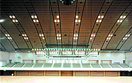 sys-ceiling_017.jpg