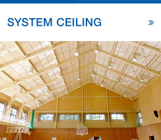 SYSTEM CEILING