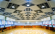 sys-ceiling_015.jpg