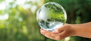 高い炭素固定効果で地球環境に貢献 高い炭素固定効果で地球環境に貢献